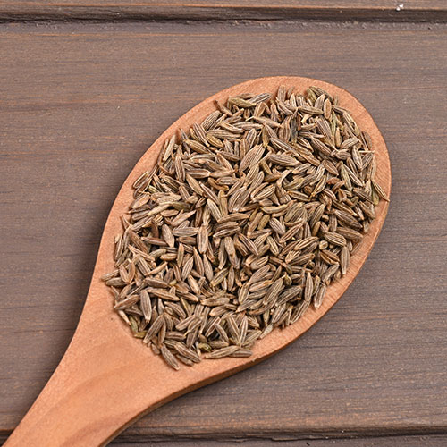 Cumin Seeds – Premium Export Quality | Jay Ambe Global